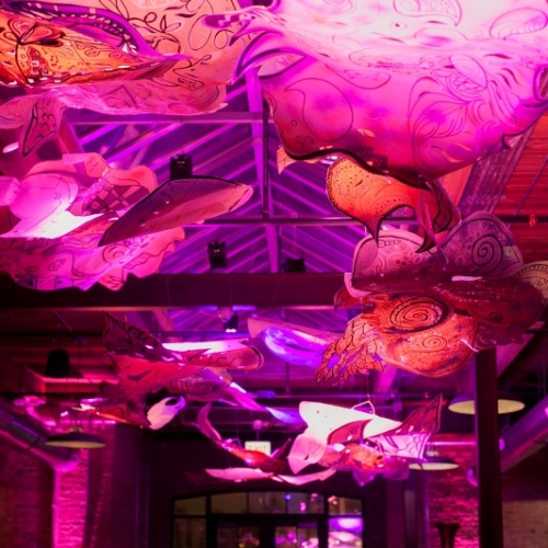 IMG_9201_CPS_Senn High School