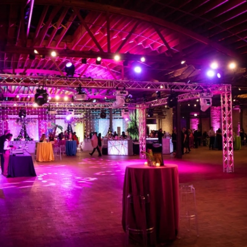 Tickled_Pink_2019-KM-05817